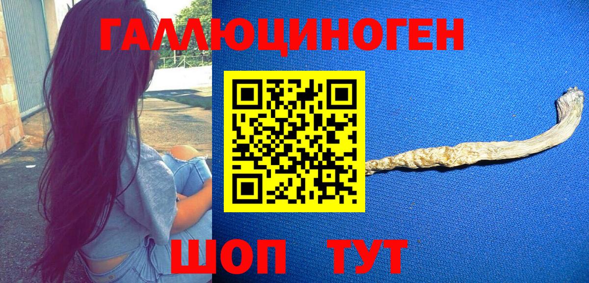 наркота  Псилоцибиновые грибы прущие грибы  Псилоцибиновые грибы мицелий  Вход с VPN  Партизанск 