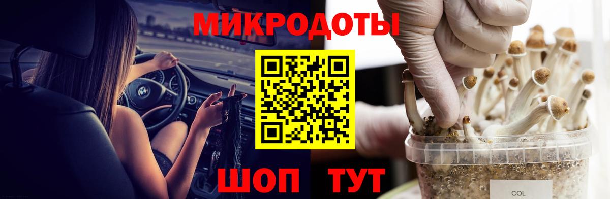 Галлюциногенные грибы Cubensis Партизанск